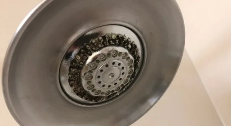 Bacteria and Mould on A Shower Head | How to Clean A Shower Head